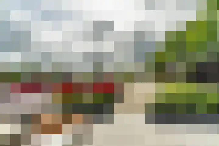 Zonnebeekweide 1 Woubrugge thumbnail 43