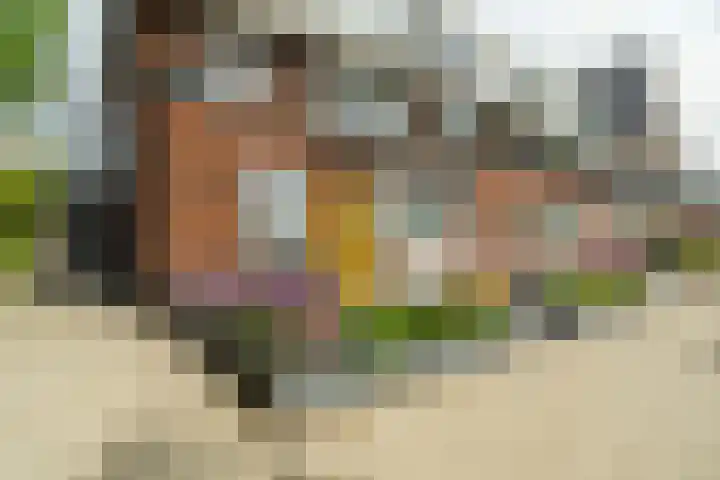 Zonnebeekweide 1 Woubrugge thumbnail 45