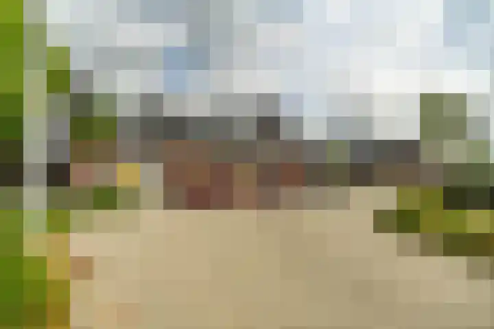 Zonnebeekweide 1 Woubrugge thumbnail 46