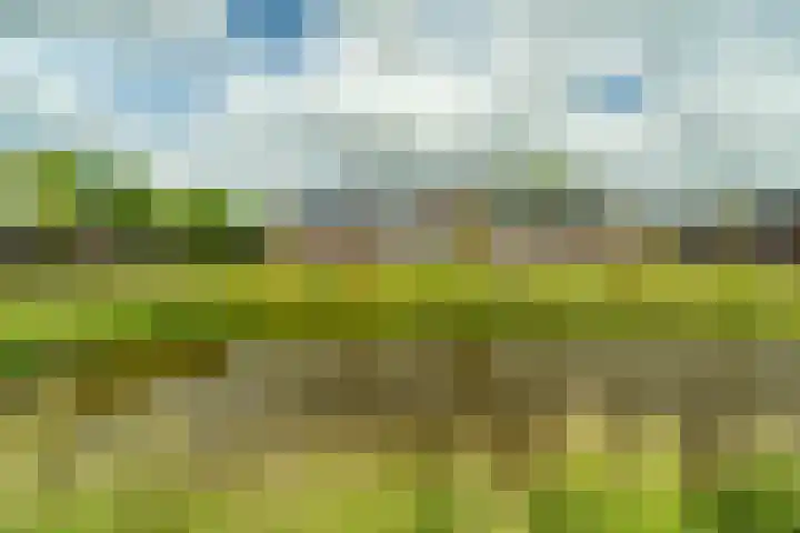 Zonnebeekweide 1 Woubrugge thumbnail 47