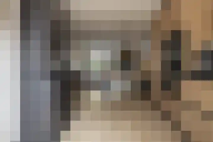 Zonnebeekweide 1 Woubrugge thumbnail 5