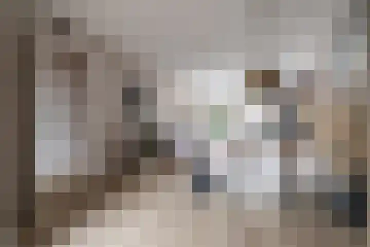 Zonnebeekweide 1 Woubrugge thumbnail 6