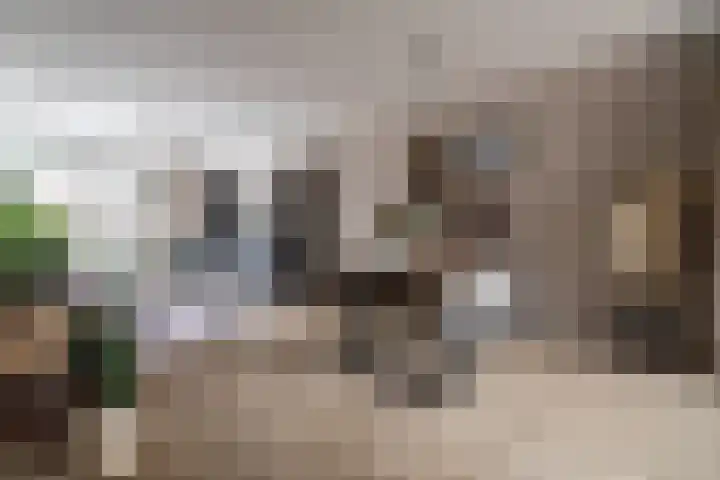 Zonnebeekweide 1 Woubrugge thumbnail 7