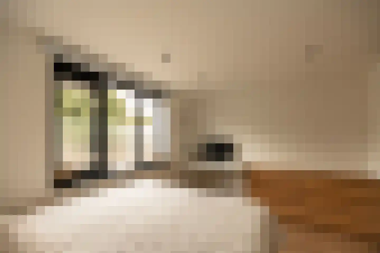Zonnebeke 4 Amsterdam thumbnail 10