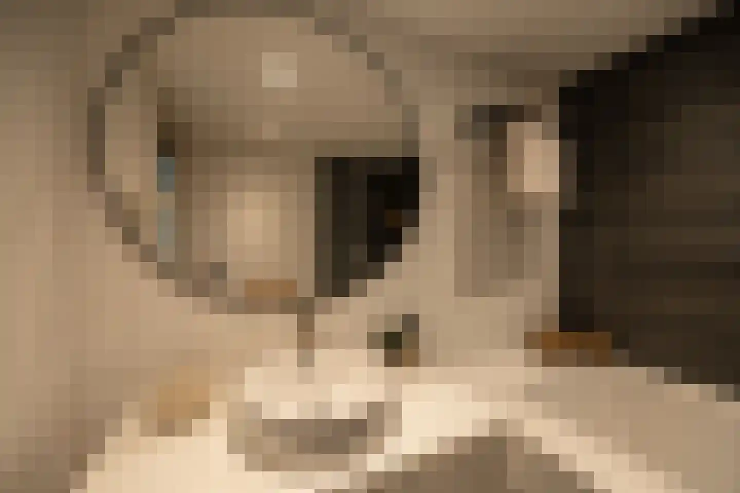 Zonnebeke 4 Amsterdam thumbnail 12