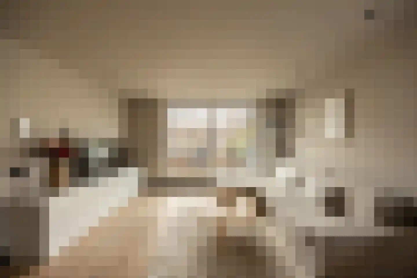 Zonnebeke 4 Amsterdam thumbnail 18