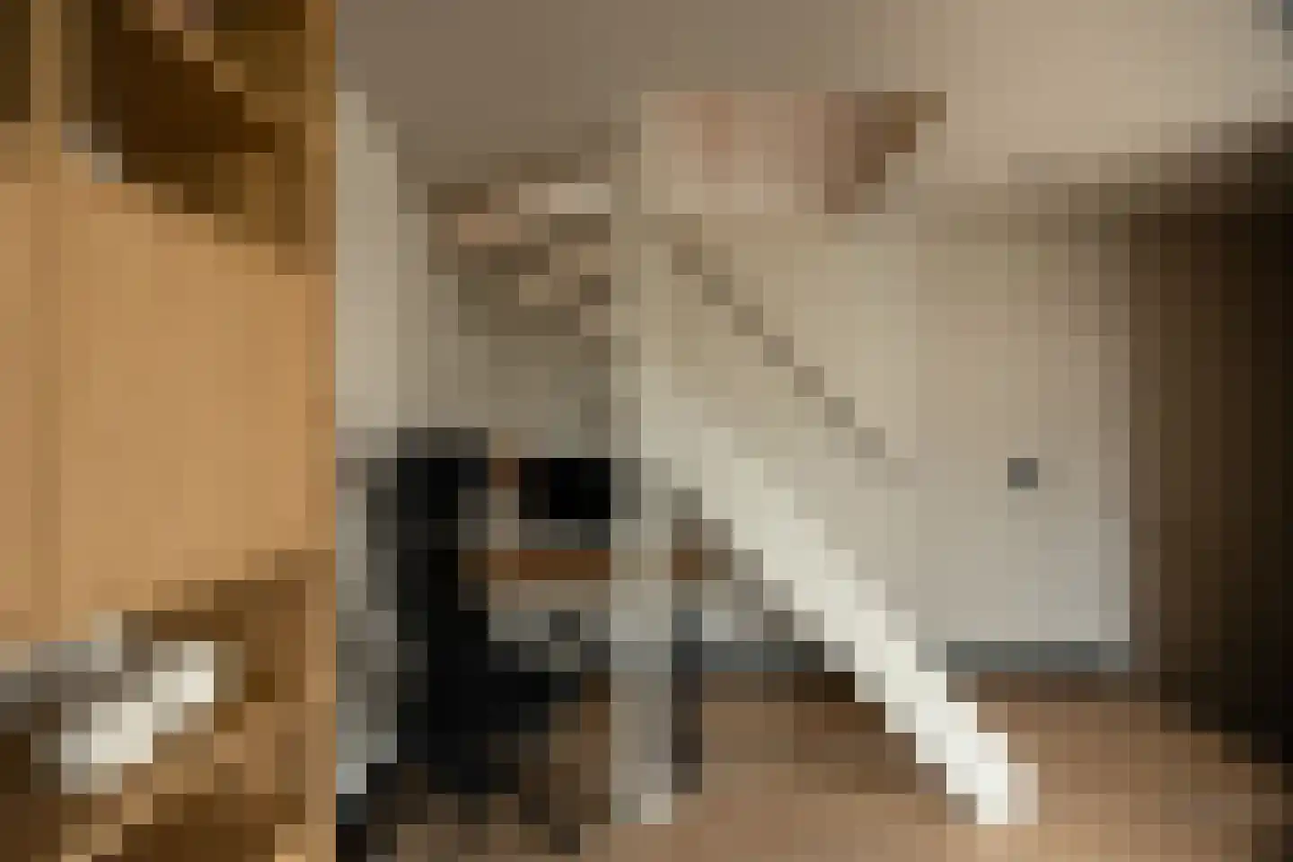 Zonnebeke 4 Amsterdam thumbnail 23