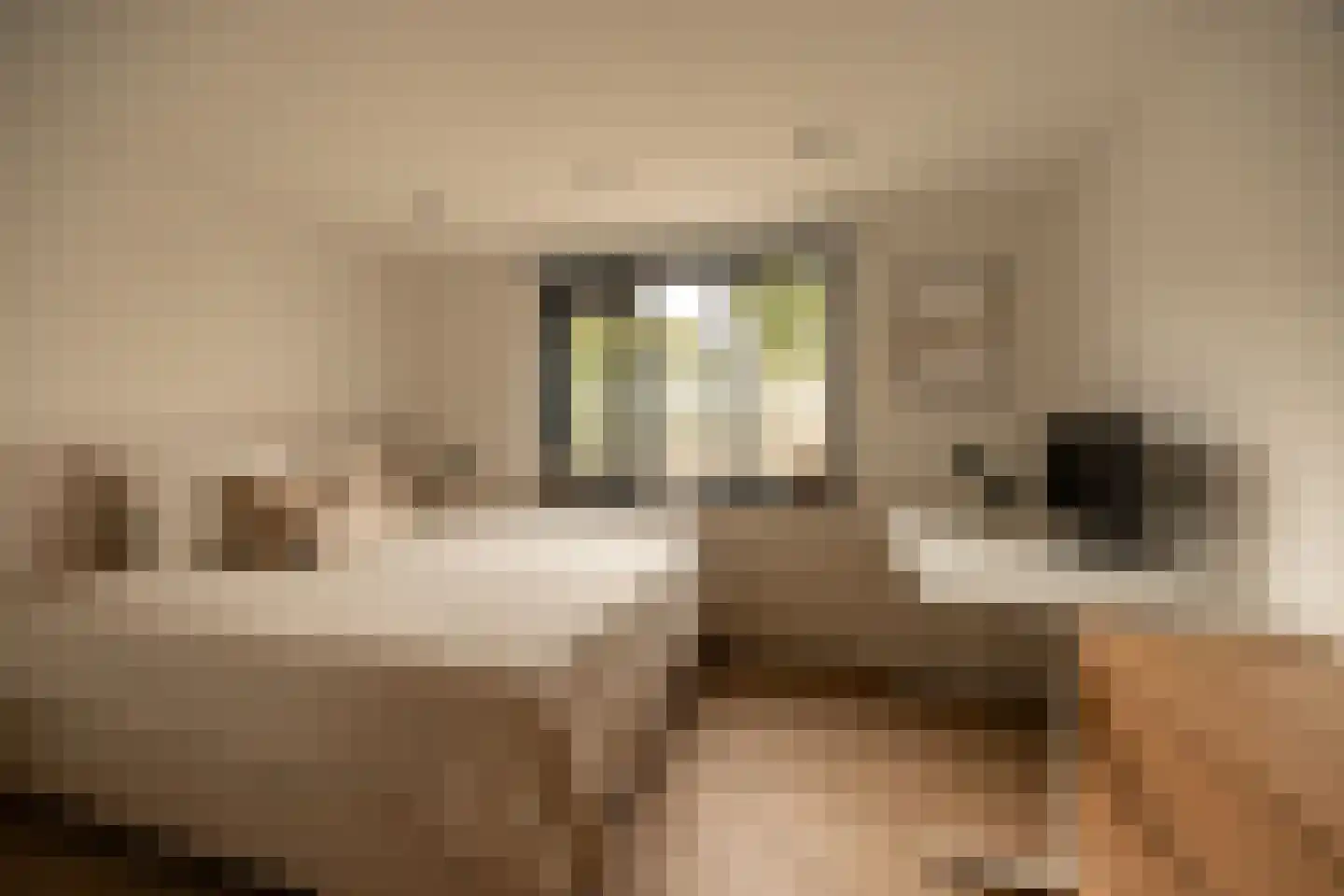 Zonnebeke 4 Amsterdam thumbnail 9