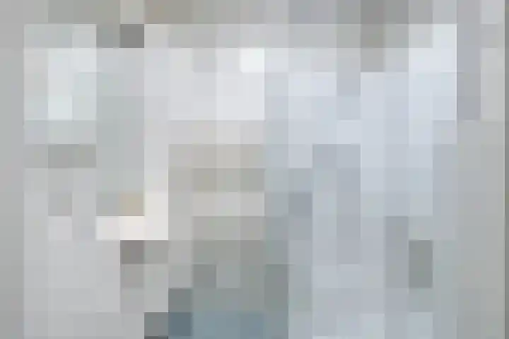 Zonnebekestraat 11 Breda thumbnail 17