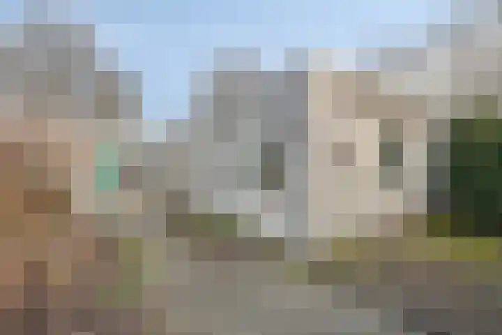 Zonnebekestraat 11 Breda thumbnail 20