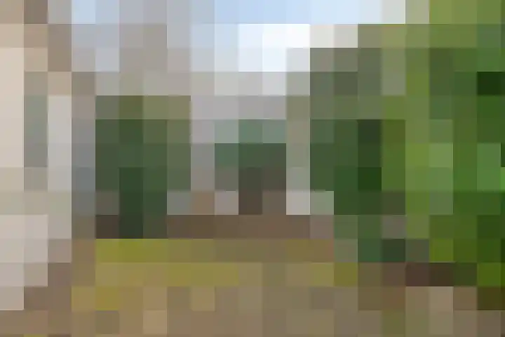 Zonnebekestraat 11 Breda thumbnail 21