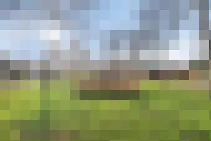 Zonnebekestraat 11 Breda thumbnail 23