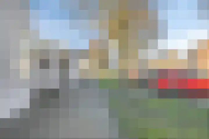 Zonnebekestraat 11 Breda thumbnail 24
