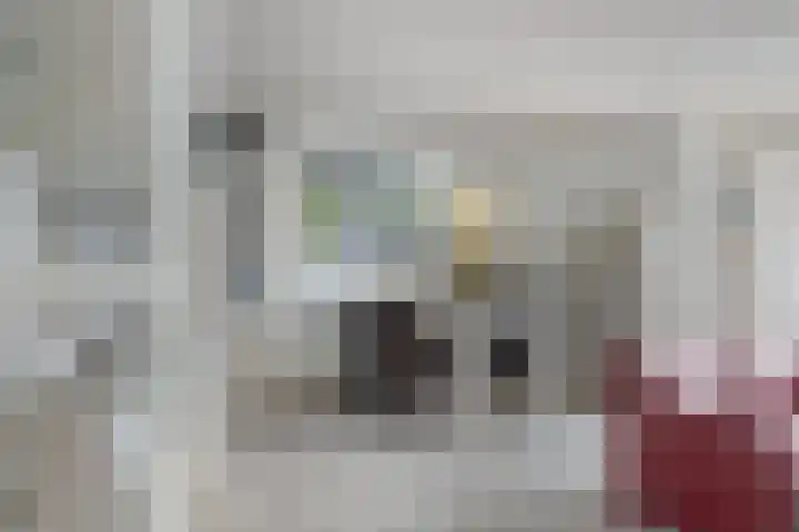 Zonnebekestraat 11 Breda thumbnail 5