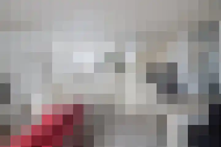 Zonnebekestraat 11 Breda thumbnail 6