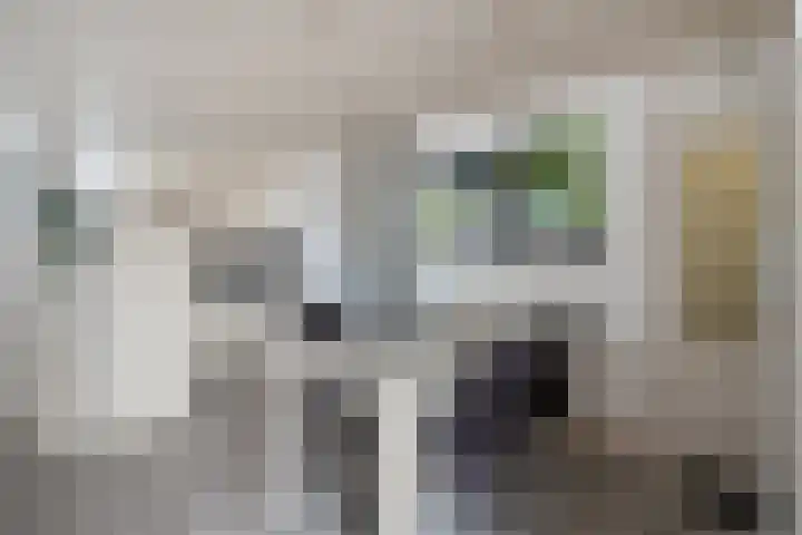 Zonnebekestraat 11 Breda thumbnail 8