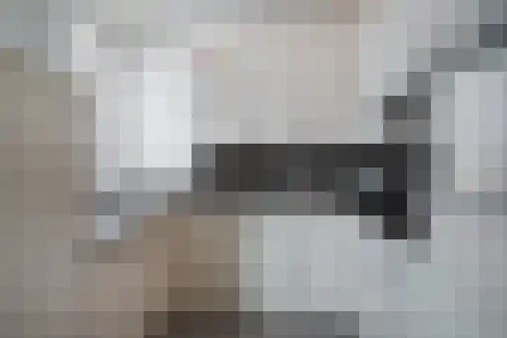 Zonnebekestraat 11 Breda thumbnail 9