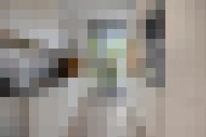 Zonnebloem 47 Berghem thumbnail 10