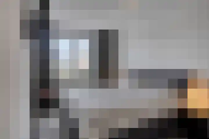 Zonnebloem 47 Berghem thumbnail 14