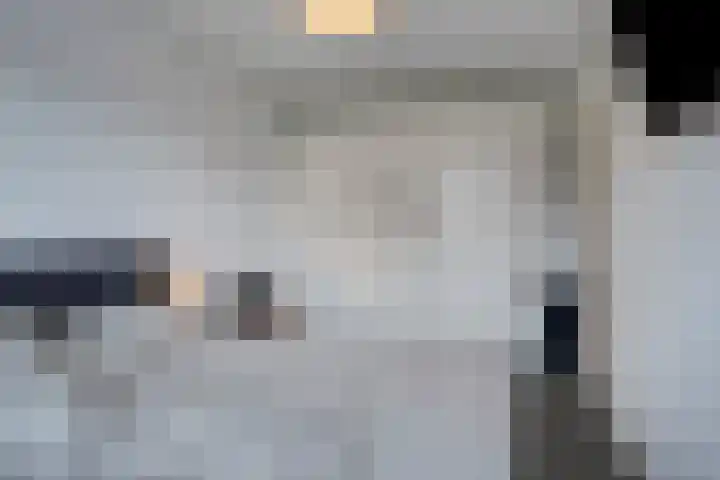 Zonnebloem 47 Berghem thumbnail 15