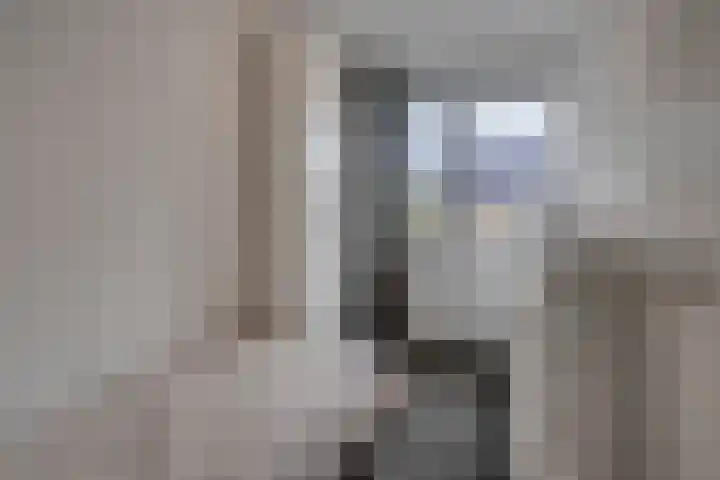 Zonnebloem 47 Berghem thumbnail 16