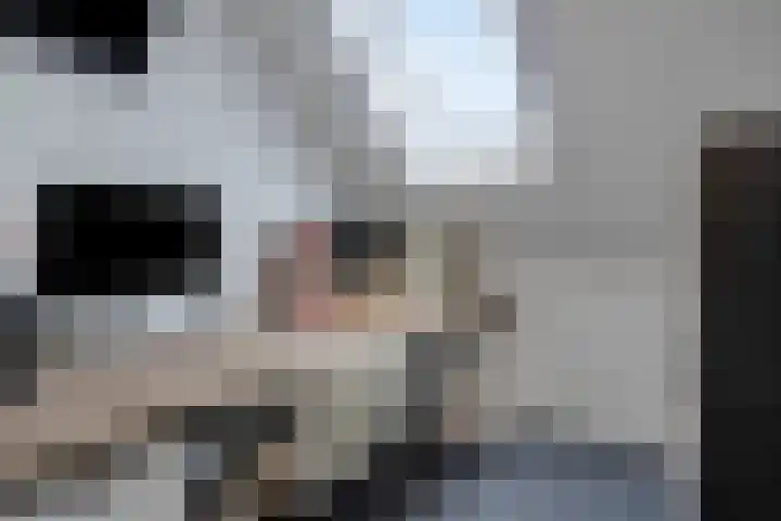 Zonnebloem 47 Berghem thumbnail 23