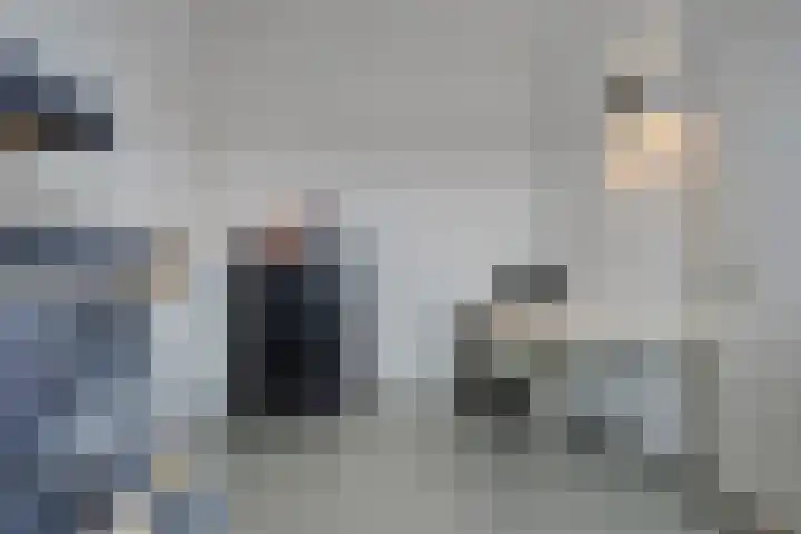 Zonnebloem 47 Berghem thumbnail 25