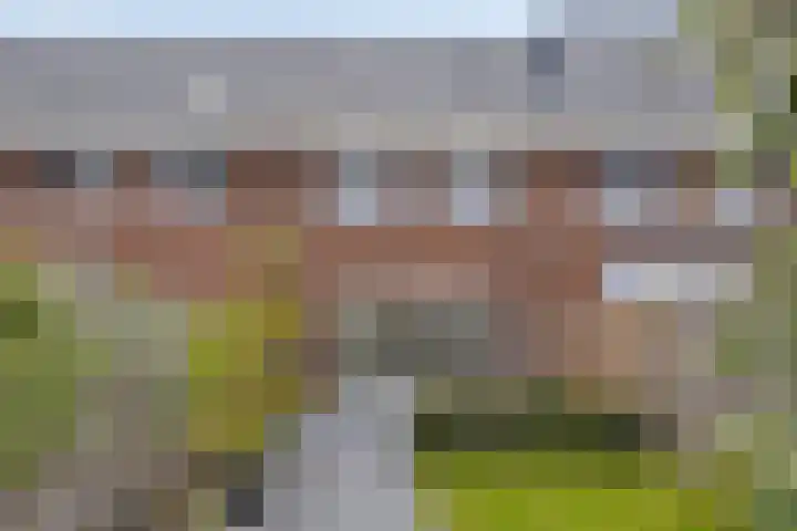 Zonnebloem 47 Berghem thumbnail 27