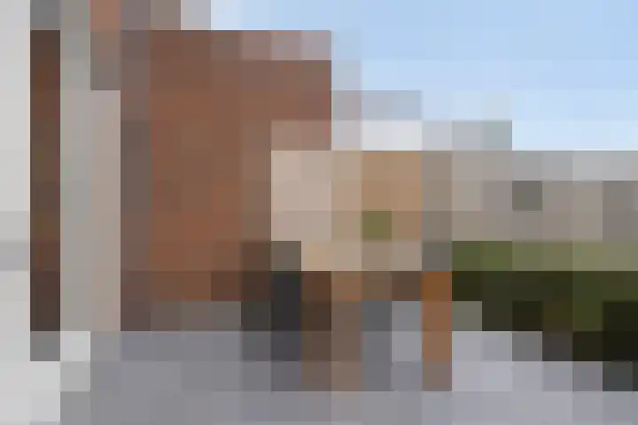 Zonnebloem 47 Berghem thumbnail 30