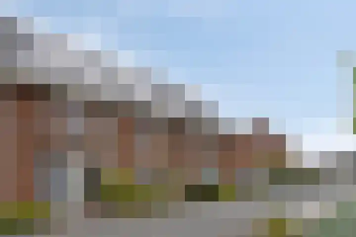 Zonnebloem 47 Berghem thumbnail 31