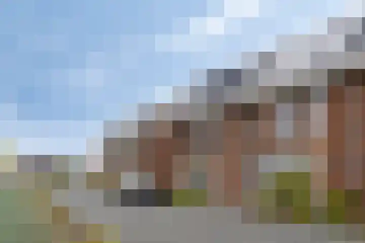 Zonnebloem 47 Berghem thumbnail 32
