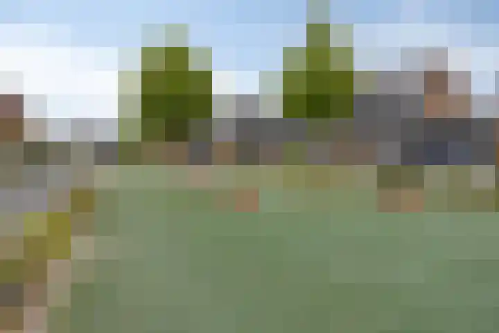 Zonnebloem 47 Berghem thumbnail 34