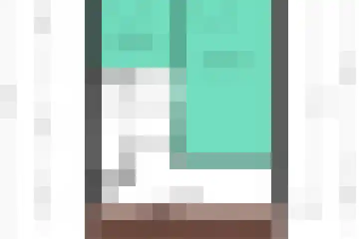 Zonnebloem 47 Berghem thumbnail 39