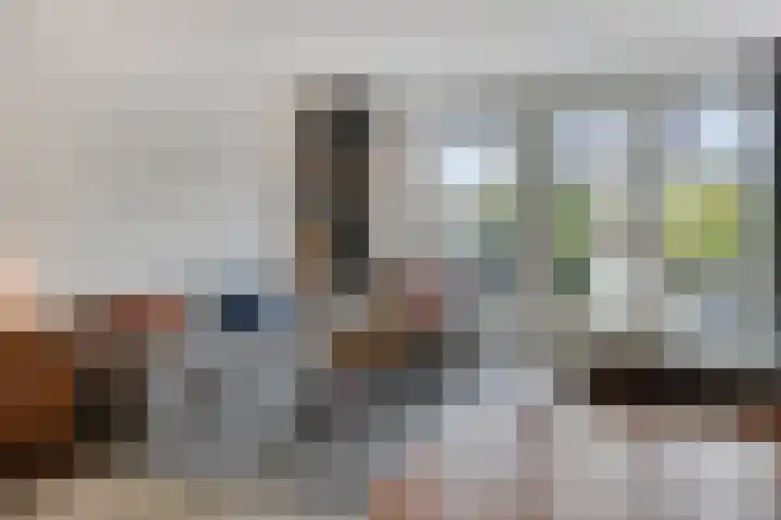 Zonnebloem 47 Berghem thumbnail 4