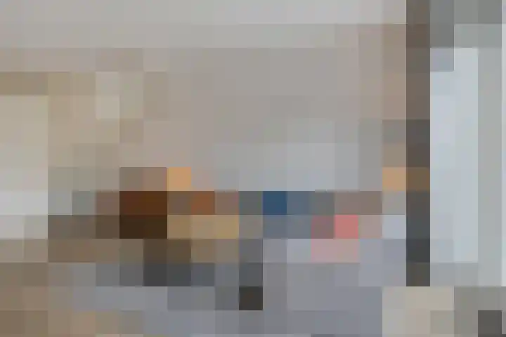 Zonnebloem 47 Berghem thumbnail 5