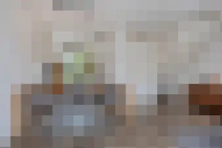 Zonnebloem 47 Berghem thumbnail 6