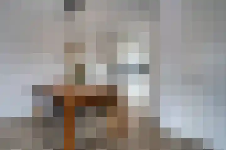 Zonnebloem 47 Berghem thumbnail 8