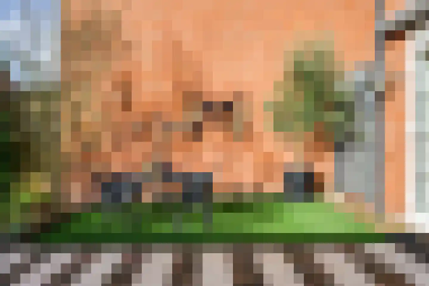 Zonnebloem 47 Krimpen aan den IJssel thumbnail 21