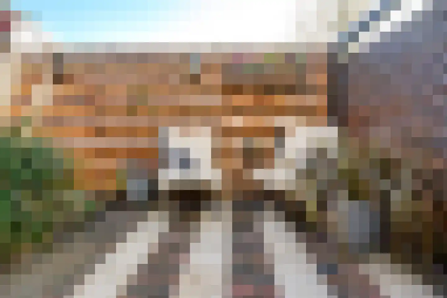 Zonnebloem 47 Krimpen aan den IJssel thumbnail 22