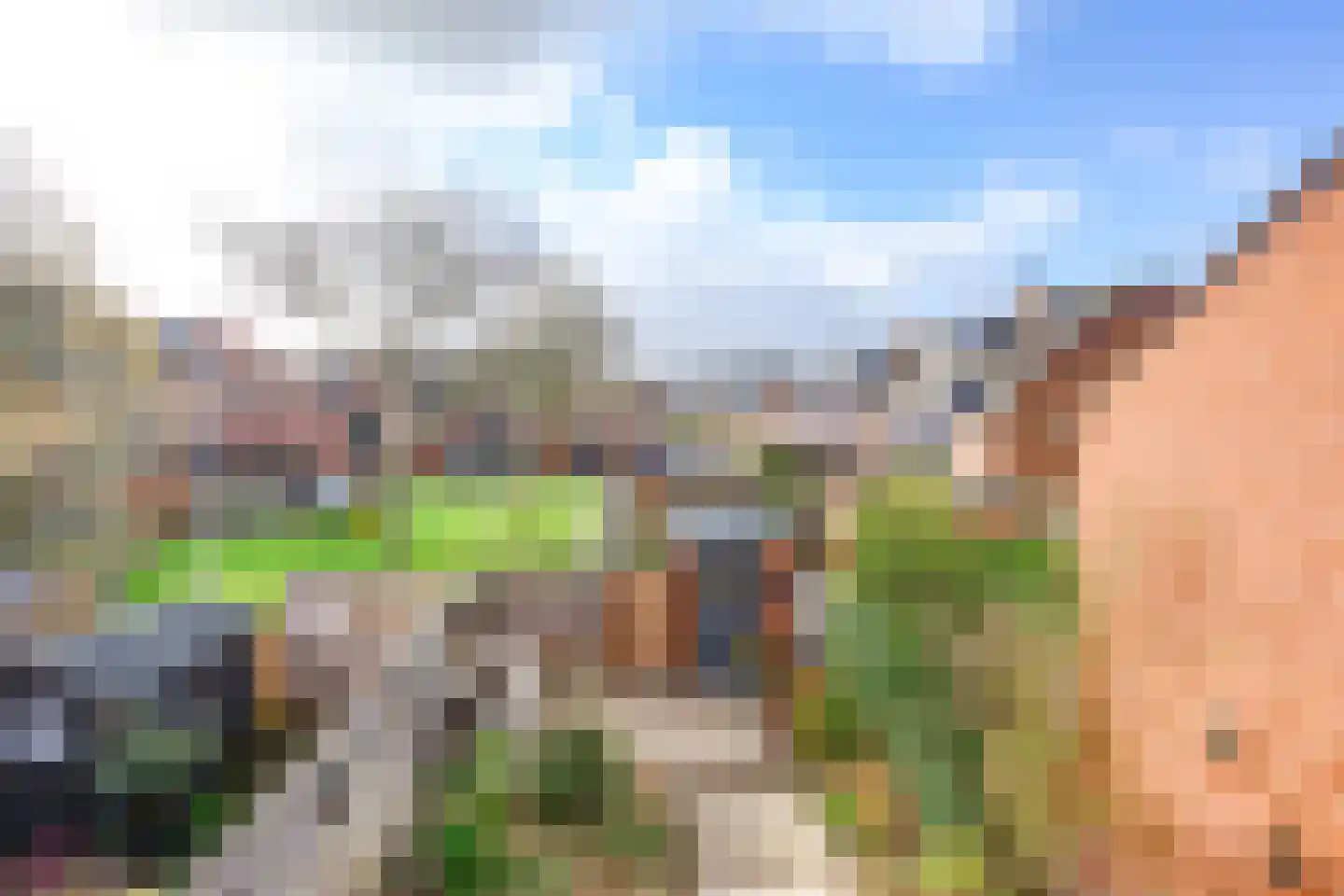Zonnebloem 47 Krimpen aan den IJssel thumbnail 31