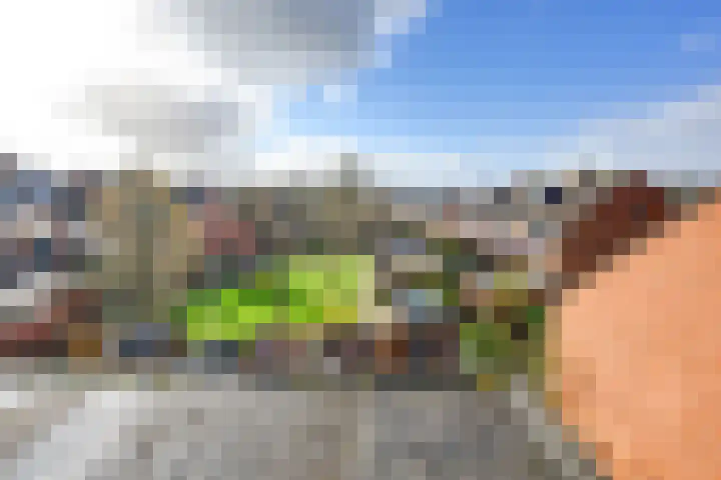 Zonnebloem 47 Krimpen aan den IJssel thumbnail 43