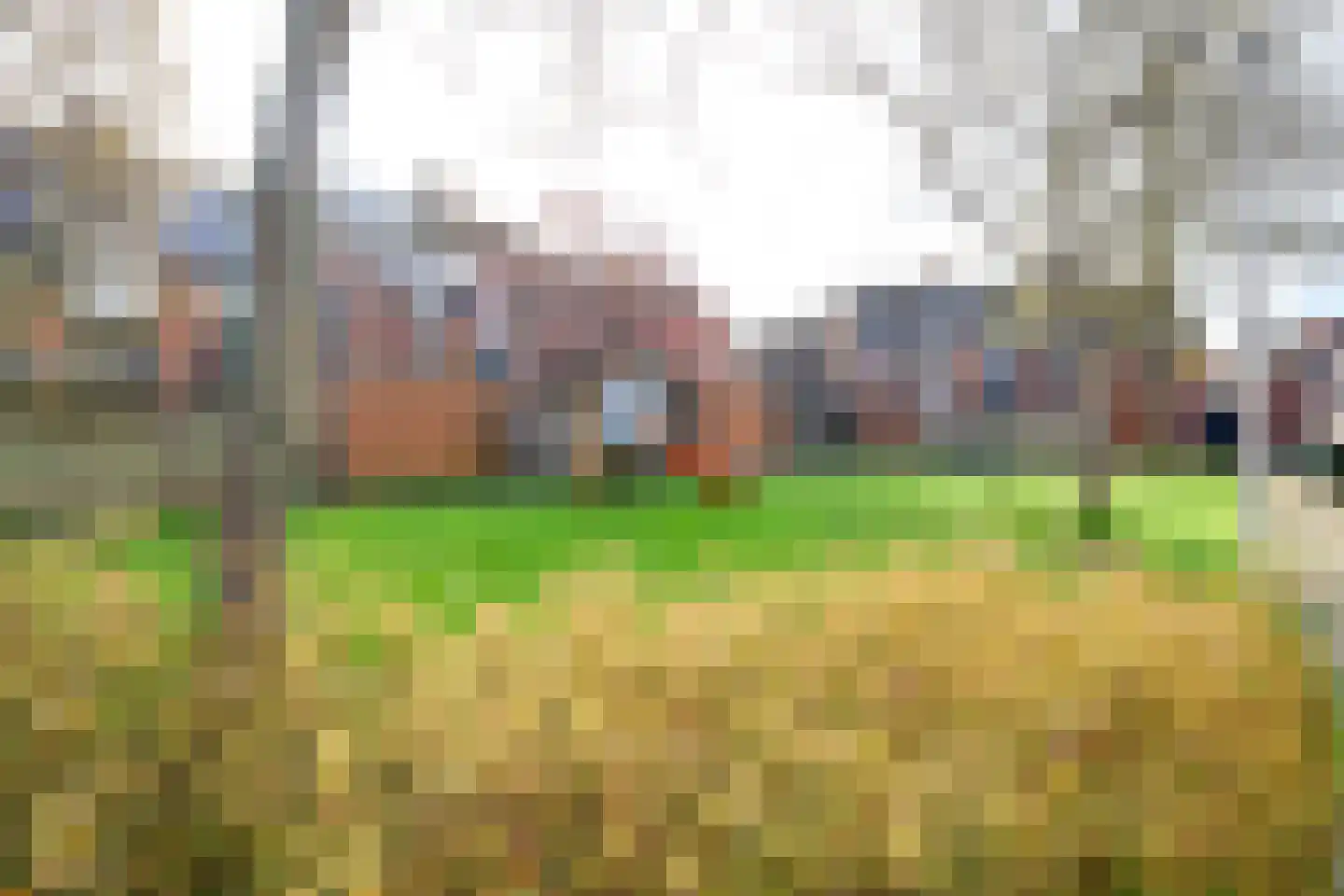 Zonnebloem 47 Krimpen aan den IJssel thumbnail 44