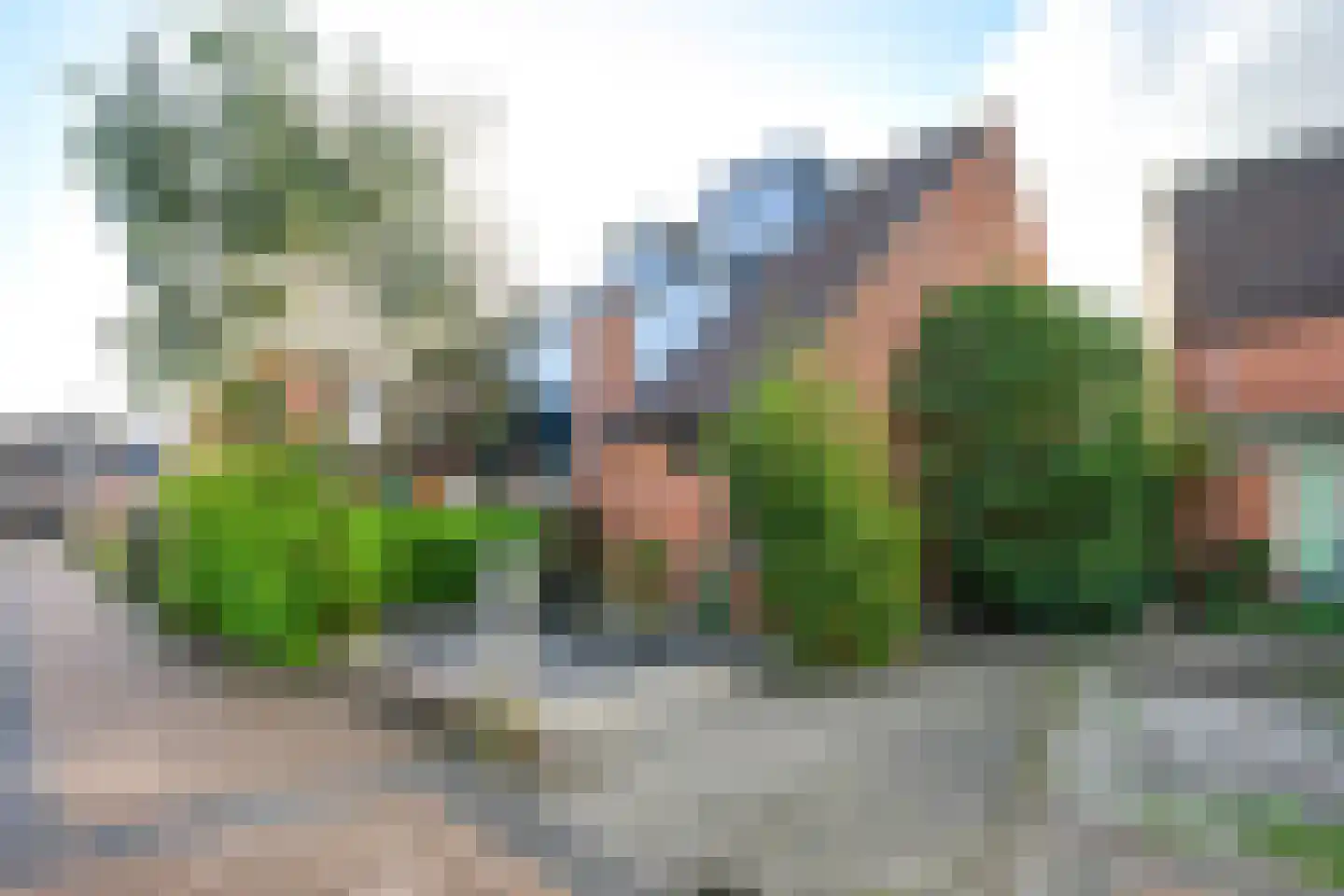 Zonnebloem 47 Krimpen aan den IJssel thumbnail 48