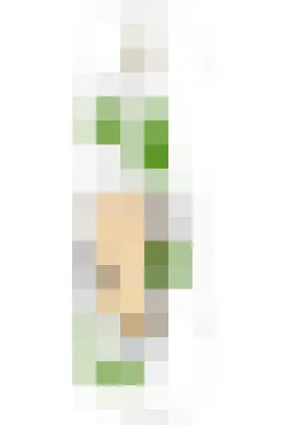 Zonnebloem 47 Krimpen aan den IJssel thumbnail 54