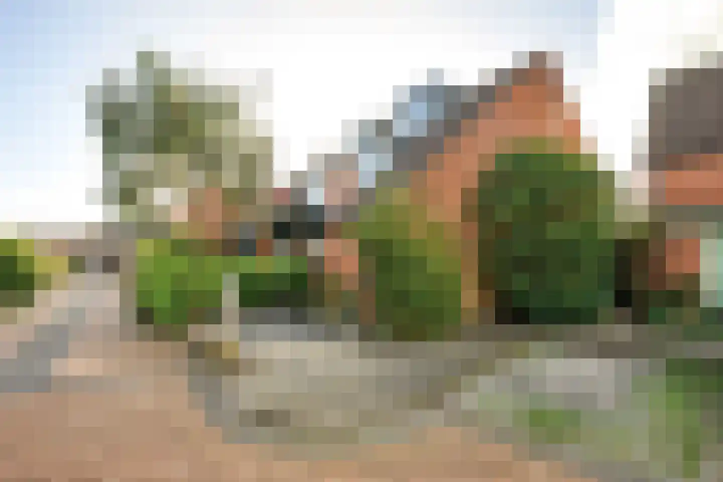 Zonnebloem 47 Krimpen aan den IJssel thumbnail 6