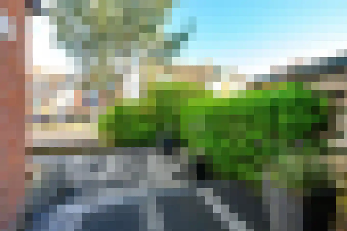 Zonnebloem 47 Krimpen aan den IJssel thumbnail 7