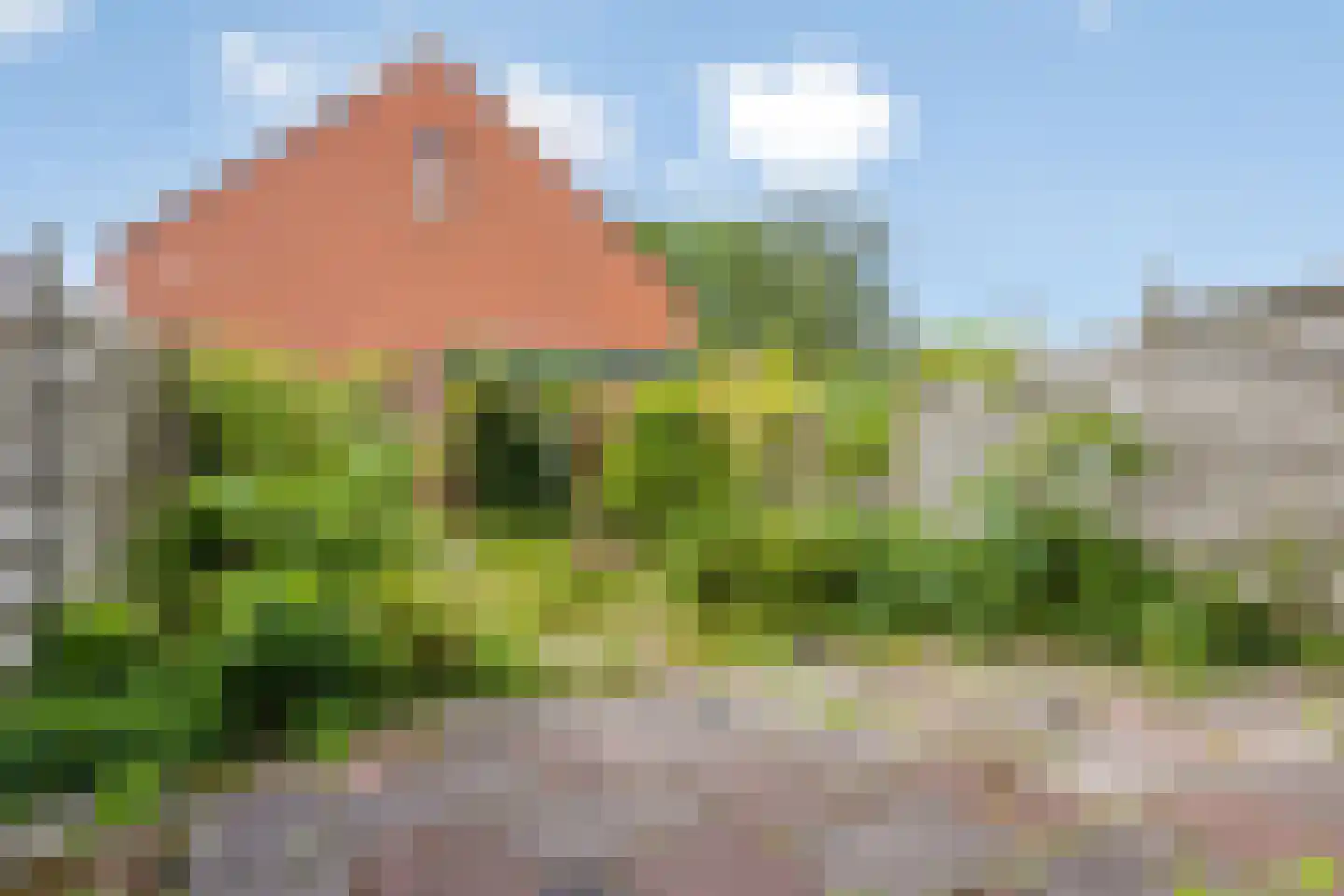 Zonnebloem 56 Krimpen aan den IJssel thumbnail 26