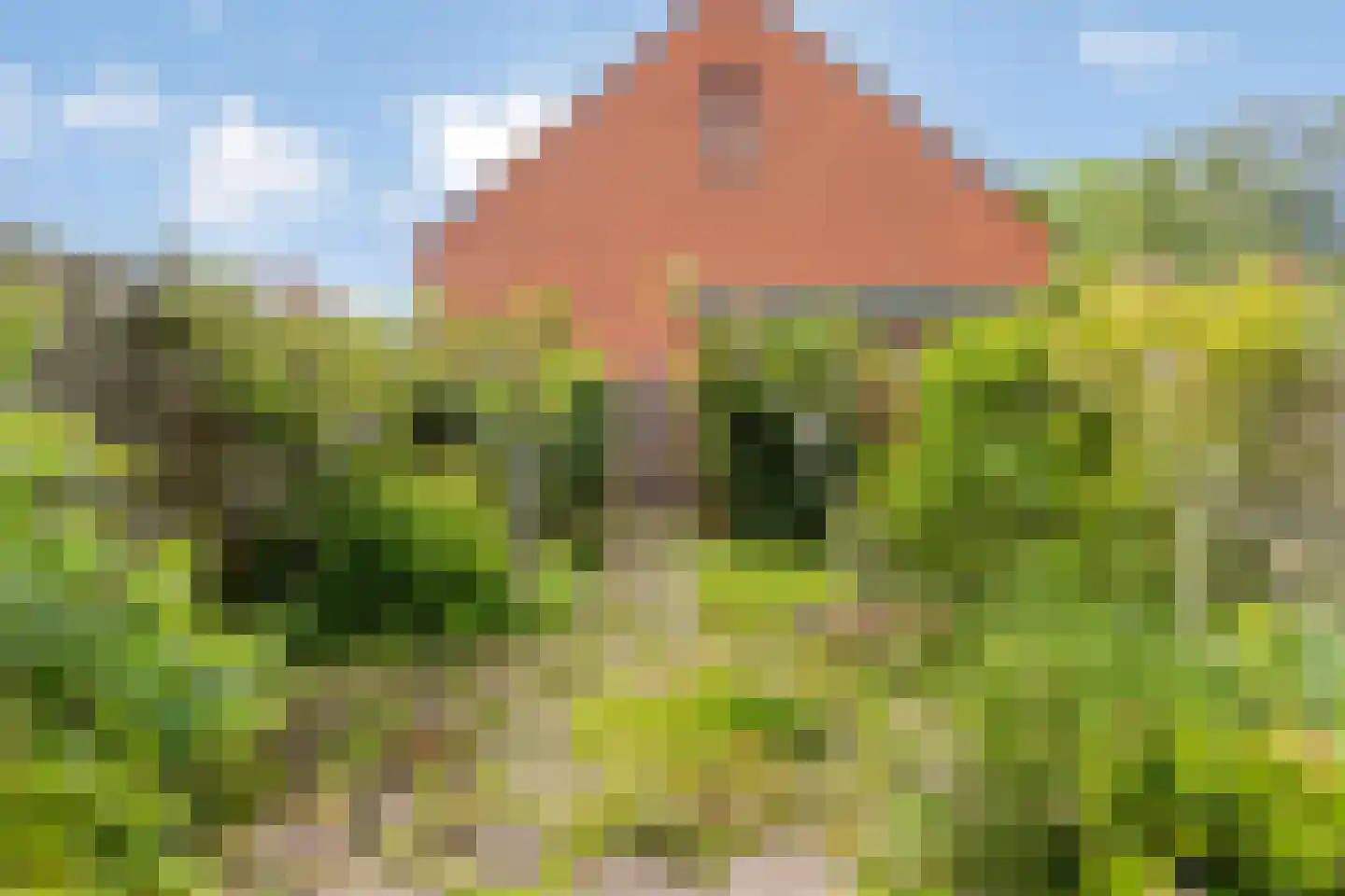 Zonnebloem 56 Krimpen aan den IJssel thumbnail 27