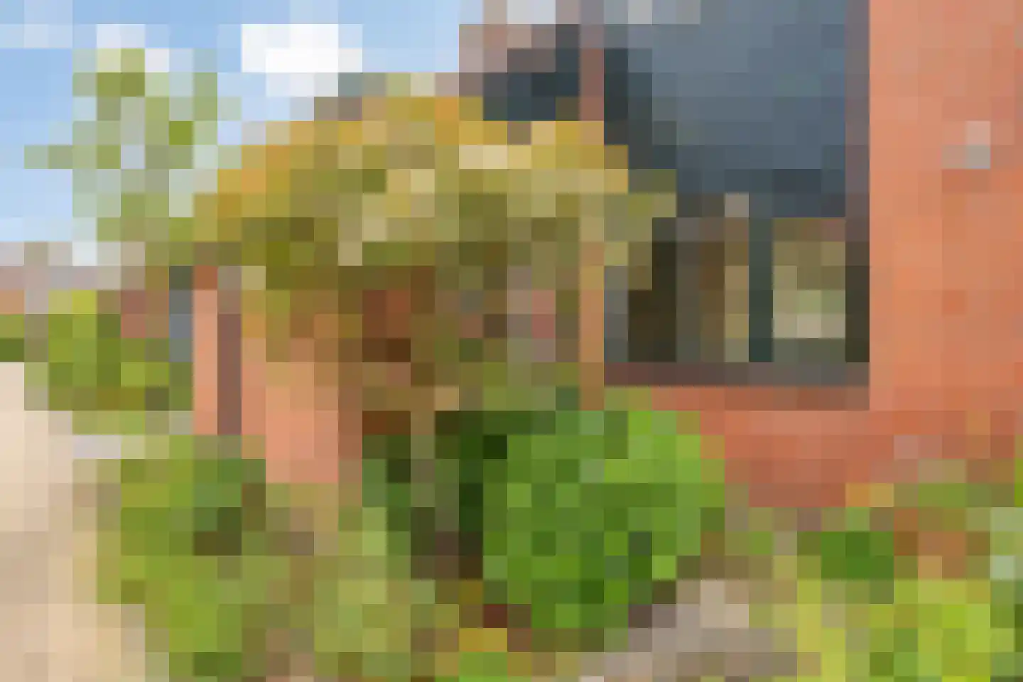 Zonnebloem 56 Krimpen aan den IJssel thumbnail 30