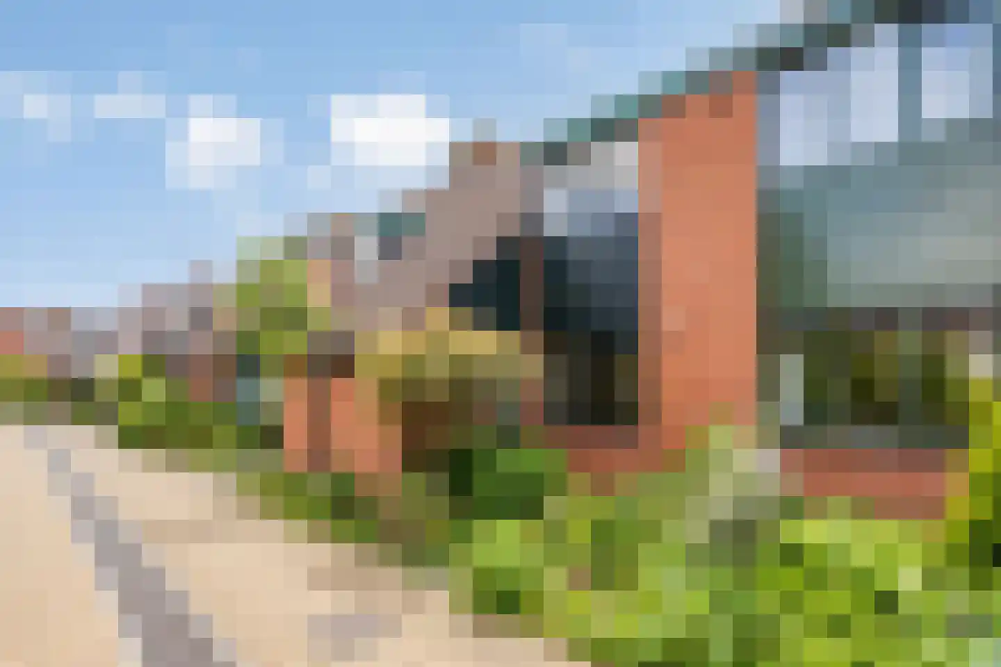 Zonnebloem 56 Krimpen aan den IJssel thumbnail 31